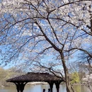 北京旅游 缩略图 4