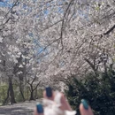 北京旅游 缩略图 3