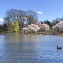 北京旅游 缩略图 5