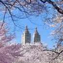 北京旅游 缩略图 7