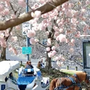 北京旅游 缩略图 15