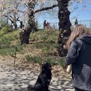 北京旅游 缩略图 16