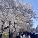 北京旅游 缩略图 17