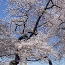 北京旅游 缩略图 1