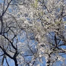 北京旅游 缩略图 9