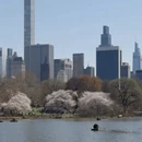 北京旅游 缩略图 8