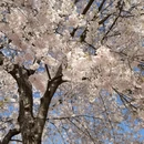 北京旅游 缩略图 11
