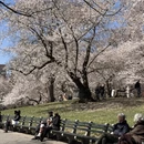 北京旅游 缩略图 15