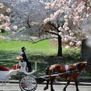 北京旅游 缩略图 11