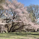 北京旅游 缩略图 4