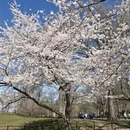 北京旅游 缩略图 6