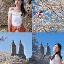 北京旅游 缩略图 1