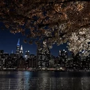 北京旅游 缩略图 14
