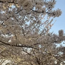 北京旅游 缩略图 11