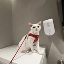 上海旅游 缩略图 3