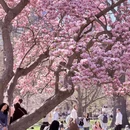 北京旅游 缩略图 2