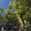 大理州旅游 缩略图 3