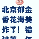 北京旅游 缩略图 1