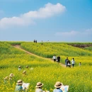 南京旅游 缩略图 4