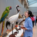 北京旅游 缩略图 3