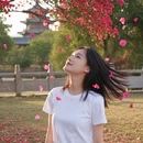 长沙旅游 缩略图 4