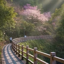 杭州旅游 缩略图 8
