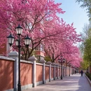 哈尔滨旅游 缩略图 3