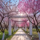 哈尔滨旅游 缩略图 6