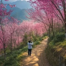 杭州旅游 缩略图 7