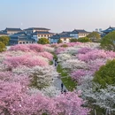 上海旅游 缩略图 4