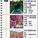 三亚旅游 缩略图 1