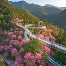 杭州旅游 缩略图 5