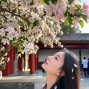 北京旅游 缩略图 2