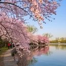 北京旅游 缩略图 10