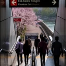 北京旅游 缩略图 5