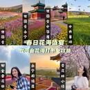 北京旅游 缩略图 1