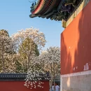 北京旅游 缩略图 4
