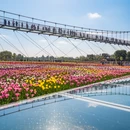 成都旅游 缩略图 5