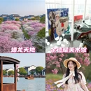 上海旅游 缩略图 1