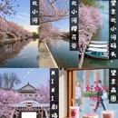 北京旅游 缩略图 1