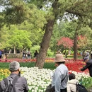 北京旅游 缩略图 11