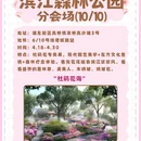 上海旅游 缩略图 13