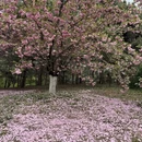 北京旅游 缩略图 3