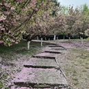 北京旅游 缩略图 2