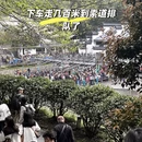 黄山旅游 缩略图 7