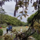 上海旅游 缩略图 12