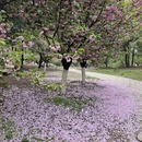 北京旅游 缩略图 12