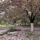 北京旅游 缩略图 4
