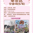 上海旅游 缩略图 8