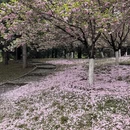 北京旅游 缩略图 10